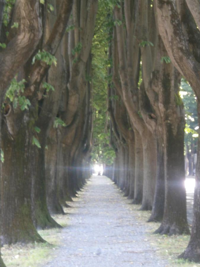 Finca Del Sol Λούκα Εξωτερικό φωτογραφία