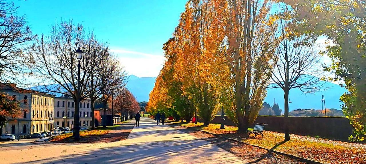 Finca Del Sol Λούκα Εξωτερικό φωτογραφία
